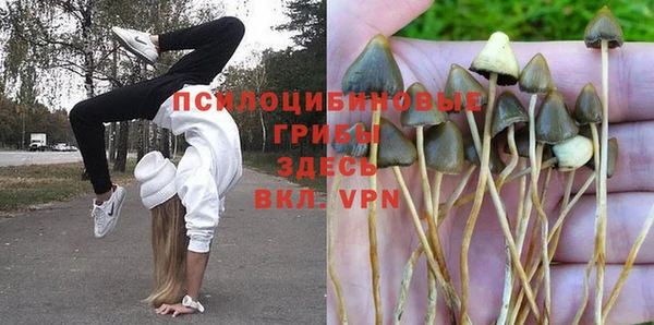 ешки Алексеевка