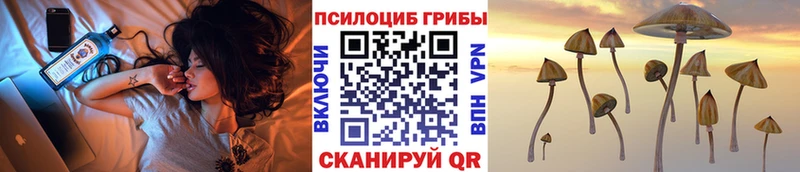 Псилоцибиновые грибы Psilocybe  мега рабочий сайт  Клин  хочу  
