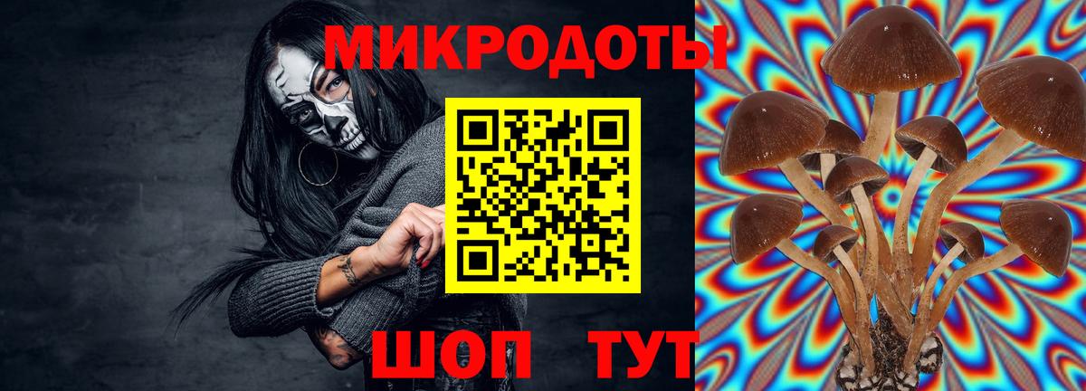 Галлюциногенные грибы мухоморы Клин
